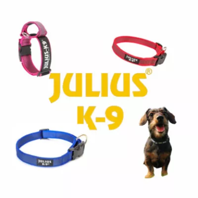 Zgardă julius k9