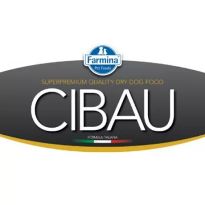 Cibau
