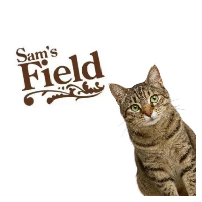 Sams field pisici