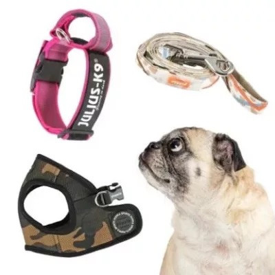 Zgarzi pentru câine, lesa câine, ham câine, zgardă câini personalizata cu nume