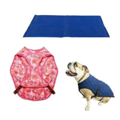 Echipament de răcire (numai vara)