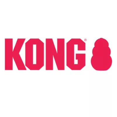 Kong jucarie câine