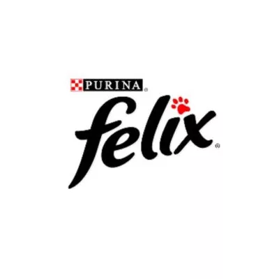 Felix pisici