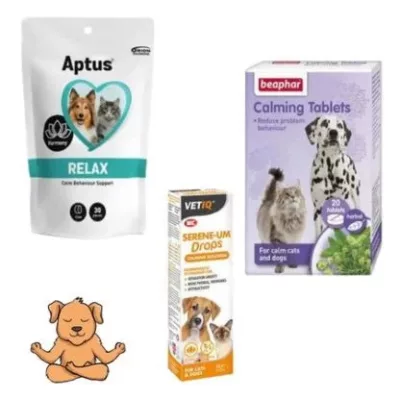 Sedativ câine, tranchilizant câine