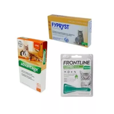 Antipurice pentru pisici (zgardă, spoton, spray)