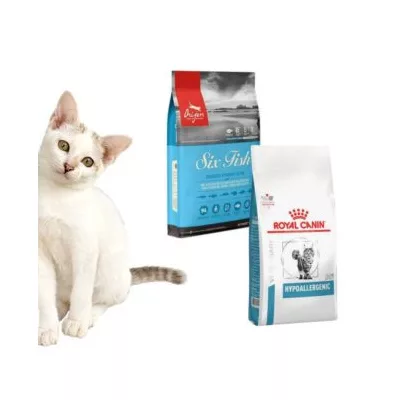 Hrană hipoalergenică pentru pisici