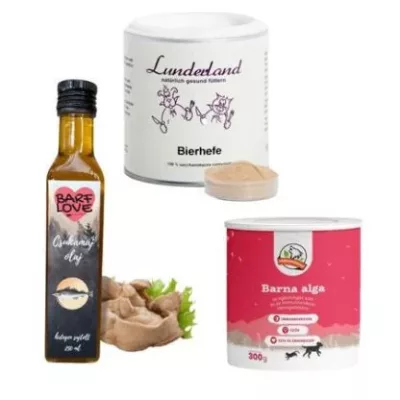 Dermatologice câine