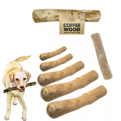 Arborele de mestecat cafea