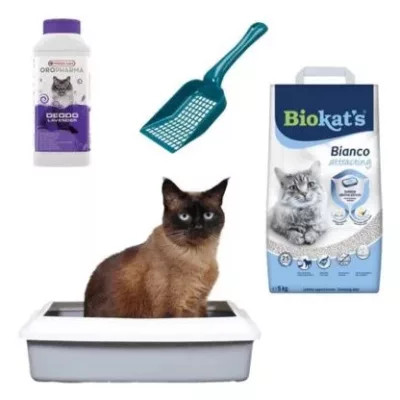 Litieră pisici, nisip pisici