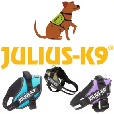 Ham julius k9